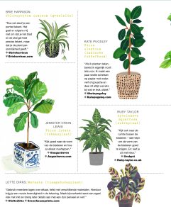 Planten tekenen