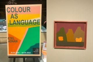 Color as language